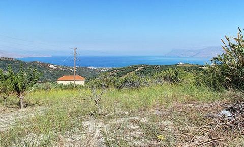 Crete, Kasteli, Marediana. For saqle a land of 2,012 sq.m., buildable, it can receive electricity, water, telephone, because it is within the settlement. The property also has the ability to be cut into three plots of land of which two of which will ...