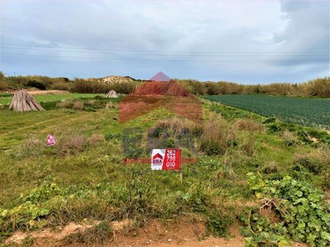Rustic plot of land in Ferrel. With 3,760m2 of total area. Close to Almagreira beach. *The information provided is for information purposes only, not binding, and does not exempt inquiring the mediator.* Energy Rating: Exempt #ref:150230007