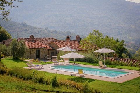 Located in Cortona there are three separate apartments in this villa. Located in the countryside, the apartment has an external garden of 3000 m2 where you can sit and relax on the garden furniture and enjoy delicious barbecue meals. The swimming poo...