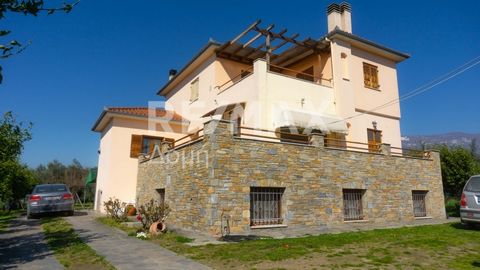 Property Code: 23402-8891 - Villa FOR SALE in Artemida Kato Lechonia for € 529.000 Exclusivity. This 320 sq. m. Villa consists of 3 levels and features 6 Bedrooms, 2 Livingrooms, 2 Kitchens, 2 bathrooms and a WC. The property also boasts Heating syst...