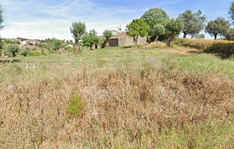 Mixed land of 3200 m2 with ruin for reconstruction, implantation area of the house 252,600m2 .