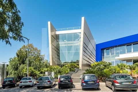 Your business deserves a good office, we’re sure that this is the one! Is this really what I’m looking for? Of course! This is the ideal office for your business to grow, we are talking about a building with 5 floors, plus the rooftop with everything...