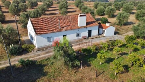 Farm with 84,500 m2 located in courelas da Mata in Lavre, Municipality of Montemor-o-Novo. Here we can find a house of typology T2 composed of kitchen with countertop, chimney, living and dining room, 2 bedrooms, pantry and full bathroom, we also hav...