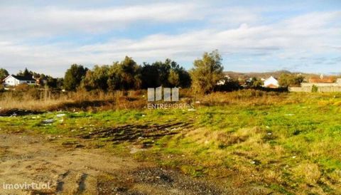 Land with 10,000 m2 of area. For construction. Good location with good access. Ref.:6370 ENTREPORTAS Founded in 2004, the ENTREPORTAS group with more than 15 years, is a leader in real estate mediation in the markets in which it operates, offering a ...