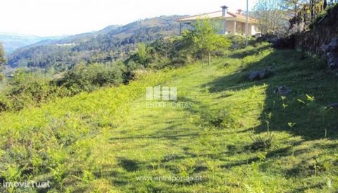 Forest land for sale, with 20 000 m2 of area, stunning views of the Valley of the Bestança River. Situated 2 minutes from the center of The Village of Cinfães. Cinfães. Ref.: MC05876 FEATURES: Land Area: 20 000 m2 Area: 20 000 m2 Useful Area: 20 000 ...