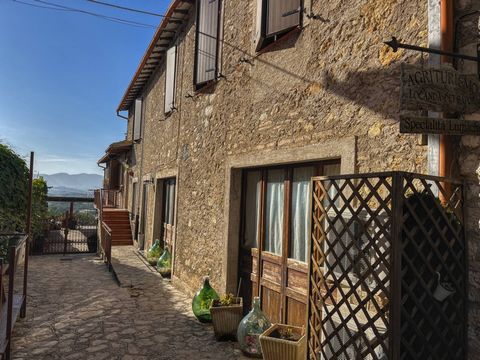 In the immediate vicinity of Spoleto, we present an excellent investment opportunity: a charming stone farmhouse that combines the traditional atmosphere with the versatility of a multifunctional residence. This property is spread over two floors and...
