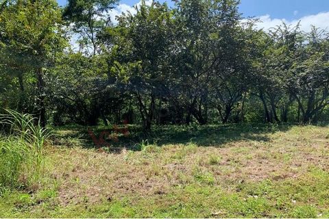 Beautiful lot for sale in Coyolar, Orotina, near to the road to Jacó, in a secluded area that maintains the properties with a privacy environment. The lot is crossed by a creek in the bottom edge that adds an incomparable scenic beauty. It has 32 met...