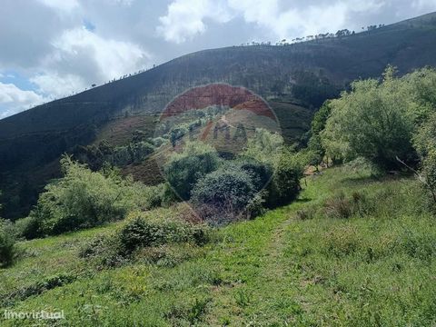 Land with an area of 2500 mt2 Agricultural land located in Mafómedes, Baião. Book your visit now!                                                                                                                                     