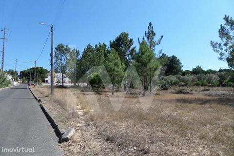 Allotment for sale in the quiet village of Carregueira. Quiet area easy to access near the A1. A few minutes from pharmacy schools and the junction hospital. Quiet area easy to access near the A1. A few minutes from schools, pharmacy and the junction...