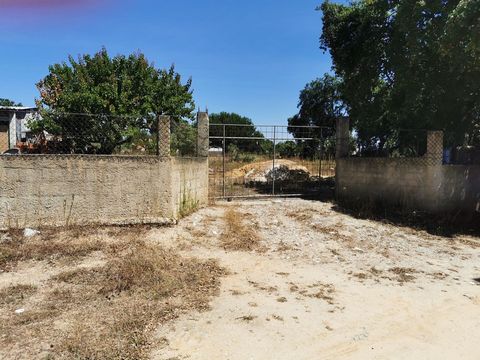 If you've always dreamed of building the perfect home in a quiet and exclusive location, this is your chance! I present a 1250m2 urban plot in Olhos de Agua Quinta do Anjo Palmela Portugal, ready to build your dream home. Located in a region of unriv...