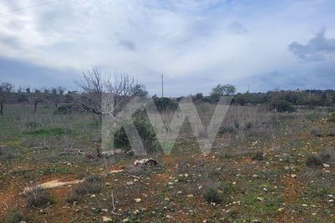 Rustic and flat land with 7920 m2, located in the area of Umbria - Paderne. Composed of several arable trees, carob, almond, fig trees and bush. The land is surrounded by stones. Good for cultivation. It is bordered by a tarmac road to the west and b...