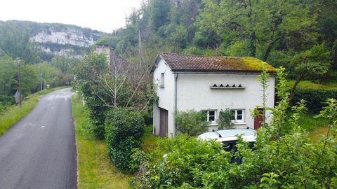 photo no. 13