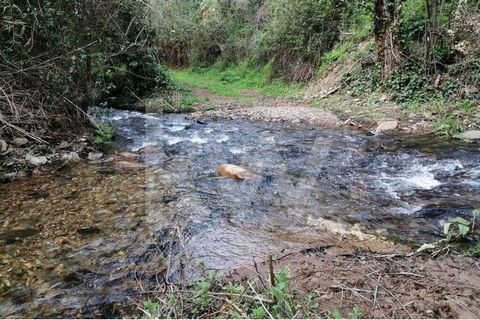 Heb je je ooit een klein paradijs voorgesteld in de mooiste berg ter wereld? Hier is het! Er is 12.000 m², omgeven door twee beekjes, waarvan er één de Ribeira de Seixe is (die uitmondt in Odeceixe). De 12.000 m² heeft een royaal vlak gebied langs de...