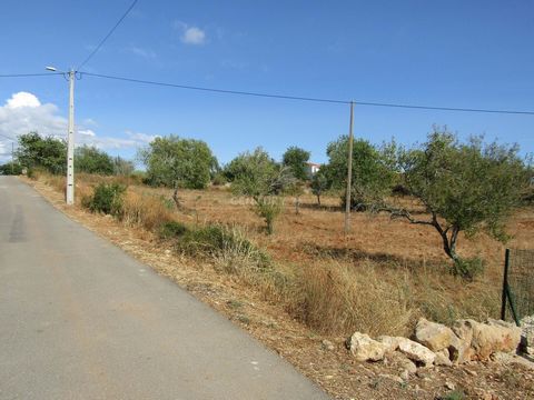 Rustic land with 18820 m2, located in Assumadas da Guia. It is located in a high area, has an open view, access is via a tarmac road, and has electricity and water nearby. There are mainly carob trees on the land.