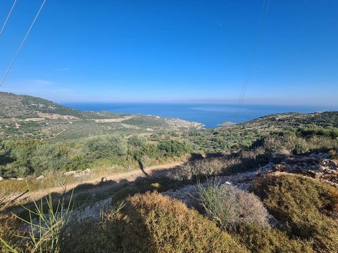 Affacciato sul porto di Agios Nikolas, questo terreno sopraelevato offre ampie viste sul Mar Ionio e sulla vicina isola di Cefalonia. La regione settentrionale di Zante è rinomata per le sue bellezze naturali e la vita rilassata, anche un luogo turis...