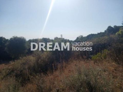 Description Ano Volimes, Plot For Sale, 2.205 sq.m., Features: For development, Price: 80.000€. Πασχαλίδης Γιώργος Additional Information Amphitheatrical plot of 2205sq.m. in Ano Volimes 4km from the port of Agios Nikolaos. It builds up to 400sqm. an...