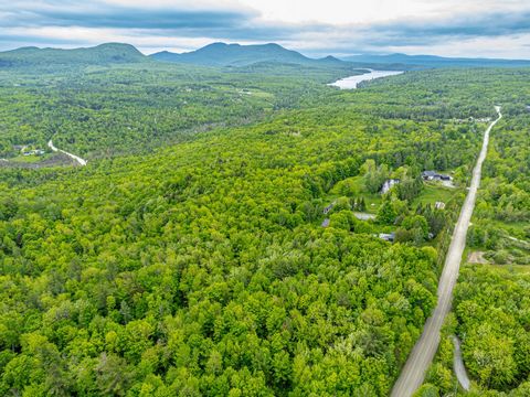 Gran lote arbolado de 2.97 acres ubicado en Orford. Una zona homogénea y prestigiosa que gusta a los amantes de la naturaleza y del aire libre. Cerca del Parque Nacional Mont Orford. Ubicación privilegiada y fácil acceso en todas las estaciones. Situ...