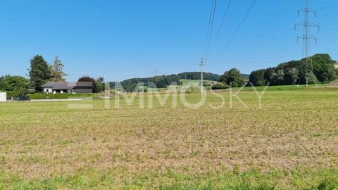 For sale is a building plot of approx. 9,000 m² (division possible), which is located in the zoning 