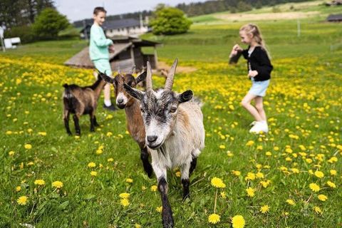 Centre de vacances Vigsø - une mer d'activités dans un cadre unique Séjournez dans un cadre pittoresque avec un accès direct à de nombreuses activités : parc aquatique, tennis et motocross. Regardez des films sur YouTube. Vigsø Holiday Center Google ...