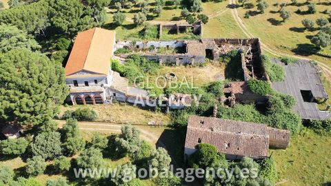 **VIDEO COMPLETO IN LINK AGGIUNTIVO** Finca rustica di 218 ettari di splendidi pascoli, pascoli incredibili e vista a 360º, con 1 Cortijo Grande di circa 3.100 m² il recinto e 2.500 m² costruiti, 1 Vecchio Convento del XVI secolo di circa 1300 m² su ...