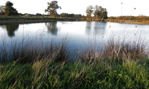 TERRENO AGRICOLO CON UNO SPECCHIO D'ACQUA. Tranquillo su circa 7,5 ettari di terreno con un laghetto con una superficie di circa 3000m2 Terreno adornato con un barbecue svedese (coperto). Terreni agricoli curati circondati da siepi.