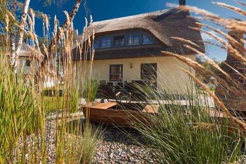 Rieten vakantiehuis met open haard en sauna, ca. 500 m van het zandstrand, 4 slaapkamers, maximaal 8 personen, WiFi beschikbaar