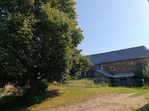 photo no. 31