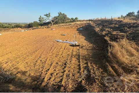 Opis Quinta Vasco da Gama Znajduje się w Fojo, w miejscowości Vidigueira, Alentejo, Portugalia. Oferuje niezakłócony widok na przyrodę, zapewniając atmosferę ciszy i spokoju. Ogólna charakterystyka: Całe gospodarstwo jest ogrodzone, co gwarantuje bez...