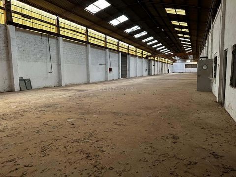 Welcome to an unparalleled opportunity for investors and entrepreneurs! This impressive 20,000 square meter plot of land, accompanied by a 2,700 square meter industrial warehouse, offers a perfect combination of space, privileged location and unlimit...