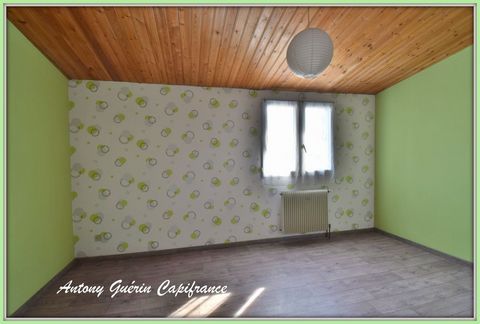 photo no. 2