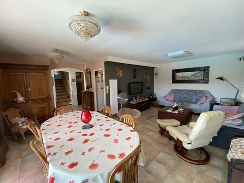 photo no. 5