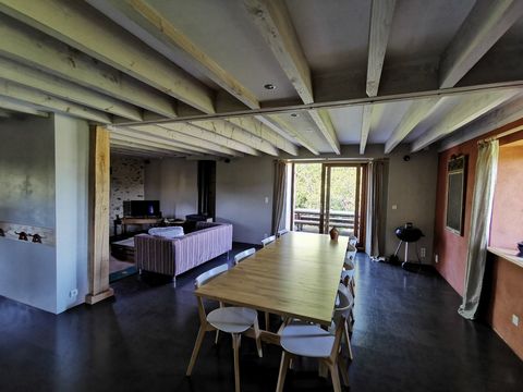photo no. 11