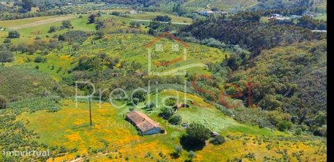 Monte Alentejano met 180.000m2, Huis van Bewoning in Ruïne voor revalidatie Met een oppervlakte van 120m2. Heuvel ingevoegd in volle Alentejo natuur, Kurkeiken met borstelige run van 360 kurk arrobas om de 7 jaar. Veel olijfbomen, veel water, heeft g...