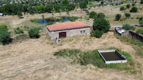 Irrigated farm of 15880m2 with a total built area of 116.68m2. The building can be transformed into a house, it fulfils all the requirements! Completely walled plot, clear boundaries! The farm is flat and ideal for cultivation. We have olive and fig ...