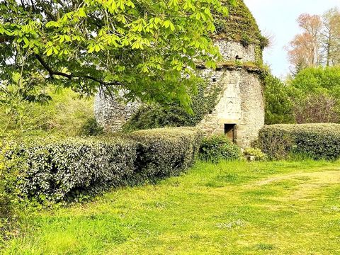 Prächtiges Schloss mit 15 Zimmern in Nantes mit 750 m² Wohnfläche auf einem geräumigen Grundstück von 80000 m². Dieses außergewöhnliche Anwesen verfügt über 9 Schlafzimmer und 9 Badezimmer, ideal für eine große Familie oder für eine Unterkunftsaktivi...