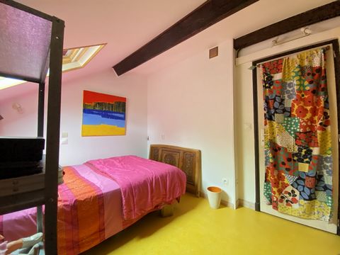 photo no. 11