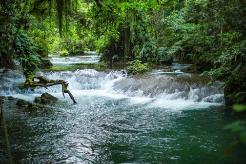 Eden On The River & You Farm For Sale in Port Vila Vanuatu Esales Property ID: es5554127 Property Location Eden on the River, Port Vila, Vanuatu Property Details Own a Paradise in Vanuatu: Eden on the River and Yoku Farm Await Imagine a place where a...