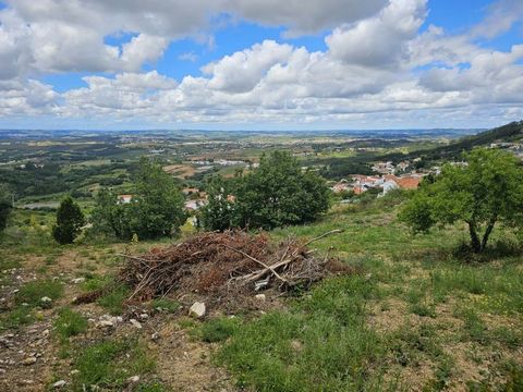 Terreno de 950m2 com vista panorâmica na Serra do Montejunto, com projeto pré aprovado para uma moradia T3, sito em Pragança. Possibilidade de adquirir um outro terreno abaixo com 1.850m2. Este terreno encontra-se mesmo no limite entre a zona que pos...