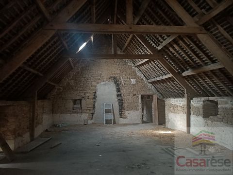 photo no. 10
