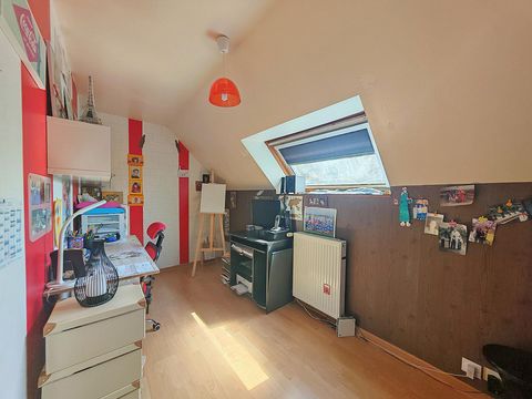 photo no. 11