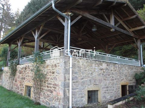 photo no. 3