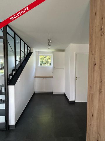 photo no. 10