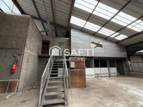 photo no. 6