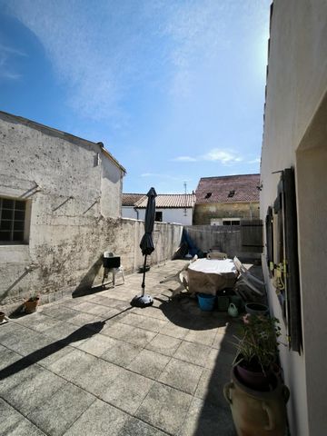 photo no. 4