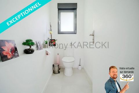 photo no. 15