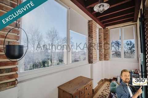 photo no. 6