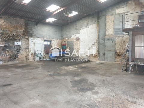 photo no. 12