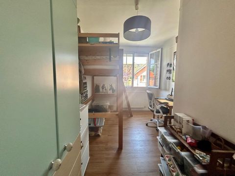 photo no. 8