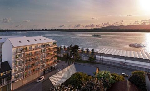 A VENDRE Appartement T4 Duplex en R+5 à Pointe à Pitre