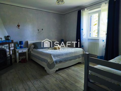 photo no. 12